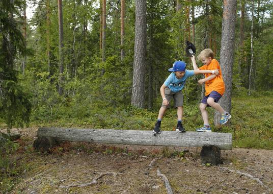 Pihaleikeillä iso arvo kehon ja mielen liikuttajina - Liikuntatieteellinen  Seura – Finnish Society of Sport Sciences